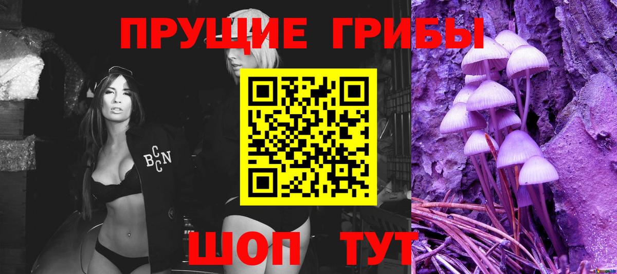 Галлюциногенные грибы GOLDEN TEACHER  Псилоцибиновые грибы Psilocybine cubensis  Вход с VPN  Воронеж 